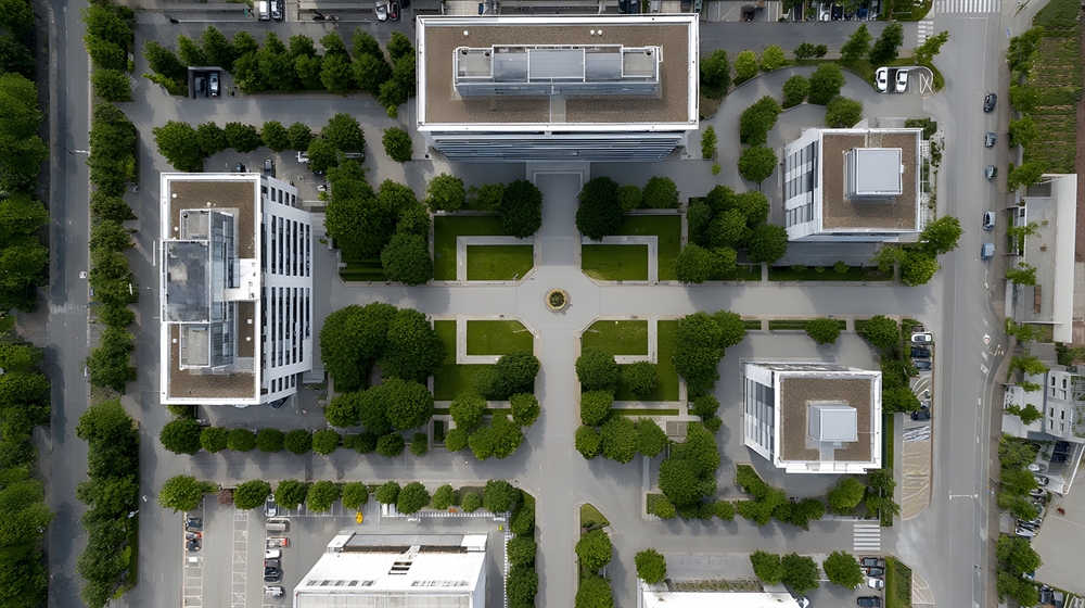 Why Greenway Landscaping & Masonry Is a Trusted Expert in Commercial Landscaping on Long Island