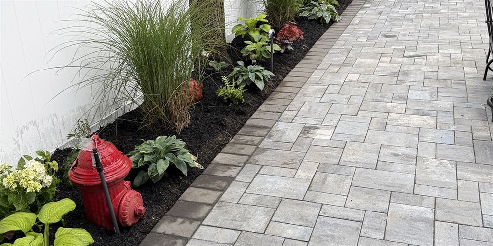 Choosing the Right Trees, Shrubs, and Bushes for Your Landscape